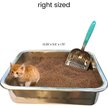 Show in main carousel: DurAnimals DuraScoop Original Cat Litter Scoop, Color Varies slide 7 of 10