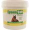 Show in main carousel: Durvet Epsom Salt Horse Muscle & Joint Pain Relief Poultice, 10-lb tub slide 1 of 1