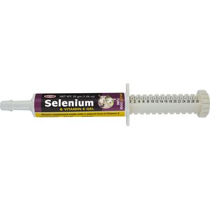 PetAg Dyne High Calorie Liquid Nutritional Supplement for Livestock