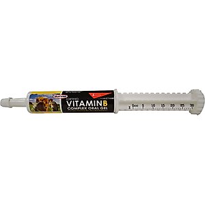PetAg Dyne High Calorie Liquid Nutritional Supplement for Livestock