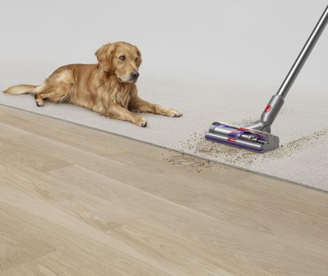 Show full view: Dyson V15 Detect Cordless Vacuum, Yellow/Nickel slide 5 of 9