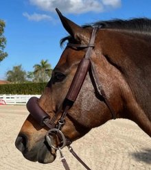 DziaSport Eyes Forward Leather Riding Style English Horse Removable Blinkers, Full, Brown