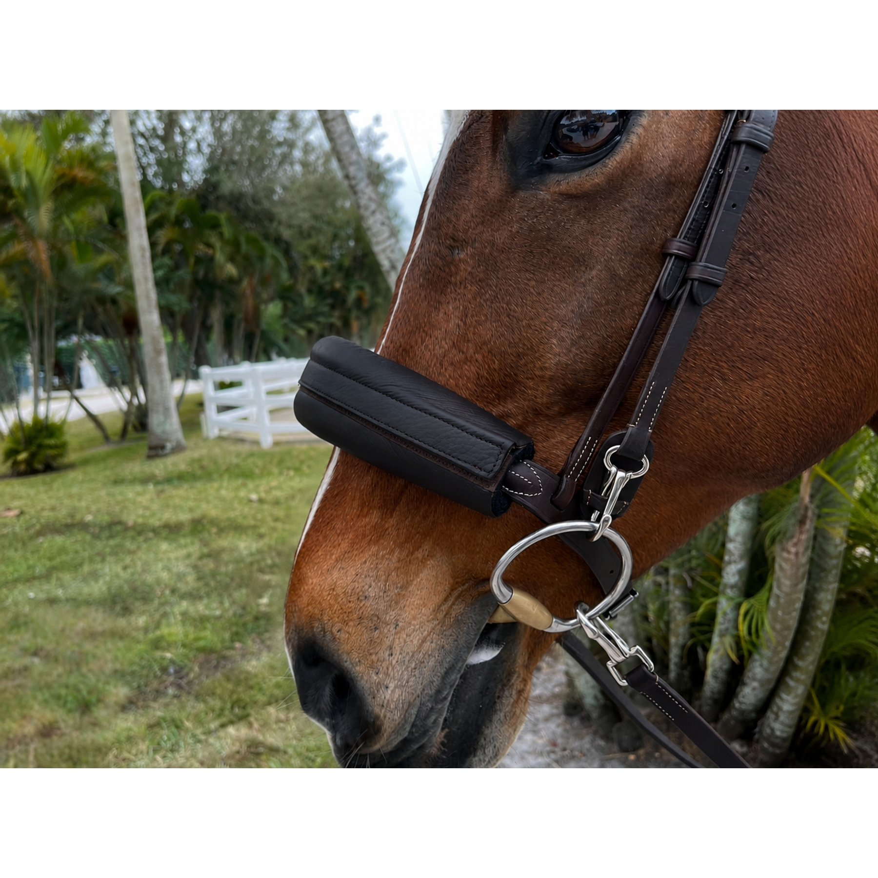 DziaSport Happy Eyes Up Leather Riding Style English Horse Shadow Roll Attachment, Black, Full