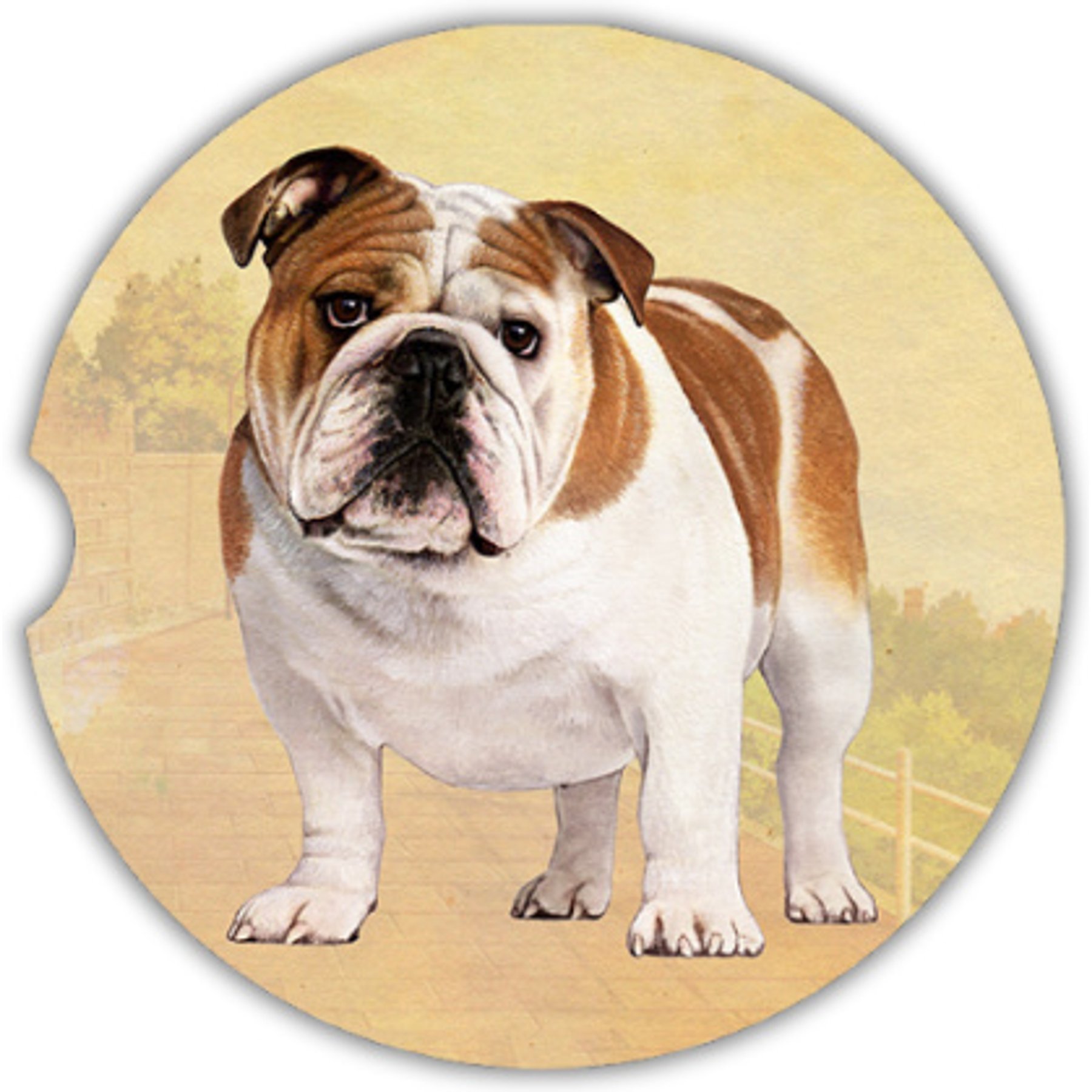 E&S PETS Bulldog Standing Sandstone Car Coasters, 2 count