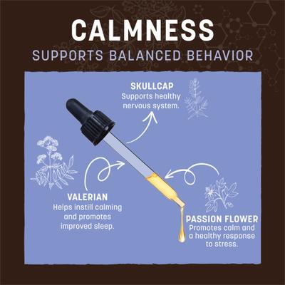 Show full view: Earth Animal Apothecary Calmness Herbal Liquid Calming Supplement for Dogs & Cats, 2-fl oz bottle slide 5 of 12