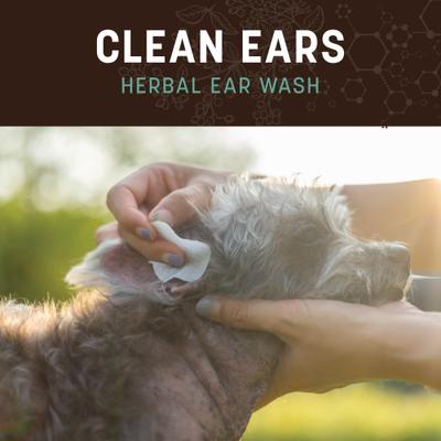 Show full view: Earth Animal Apothecary Clean Ears Natural Grooming Herbal Ear Wash Cleanser for Dogs & Cats, 4-fl oz bottle slide 6 of 8