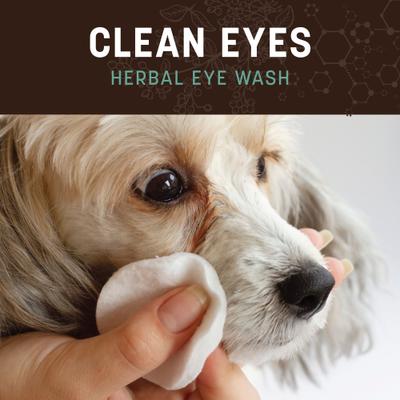 Show full view: Earth Animal Apothecary Clean Eyes Natural Grooming Herbal Eye Wash Cleanser for Dogs & Cats, 4-fl oz bottle slide 7 of 9