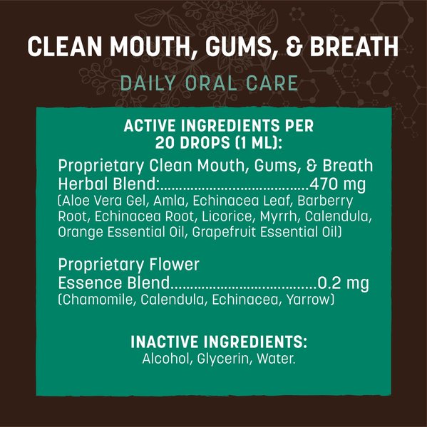 Show full view: Earth Animal Apothecary Clean Mouth, Gums & Breath Herbal Liquid Dental Supplement for Dogs & Cats, 2-fl oz bottle slide 5 of 10
