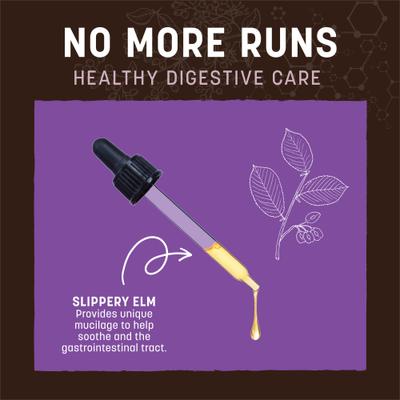 Show full view: Earth Animal Apothecary No More Runs Herbal Liquid Digestive Supplement for Dogs & Cats, 2-fl oz bottle slide 5 of 12