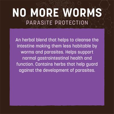 Show full view: Earth Animal Apothecary No More Worms Herbal Liquid Digestive Supplement for Dogs & Cats, 2-fl oz bottle slide 4 of 12