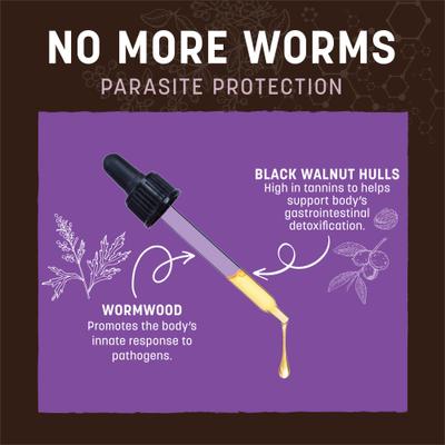 Show full view: Earth Animal Apothecary No More Worms Herbal Liquid Digestive Supplement for Dogs & Cats, 2-fl oz bottle slide 5 of 12