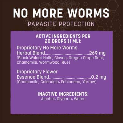 Show full view: Earth Animal Apothecary No More Worms Herbal Liquid Digestive Supplement for Dogs & Cats, 2-fl oz bottle slide 6 of 12