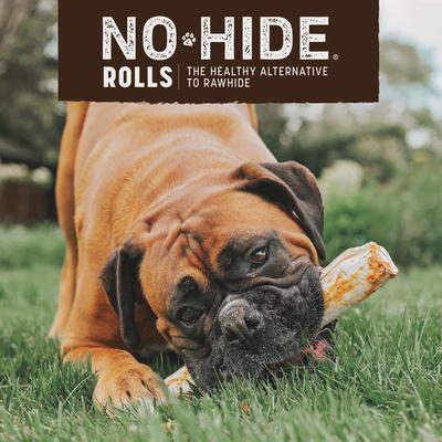 Show full view: Earth Animal No-Hide Large Rolls Long Lasting Natural Rawhide Alternative Beef Recipe Chew Dog Treats, 2 count slide 7 of 12