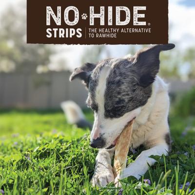 Show full view: Earth Animal No-Hide Strips Natural Rawhide Alternative Barbeque Smoked Chicken & Turkey Recipe Chew Dog Treats, 4 count slide 6 of 10