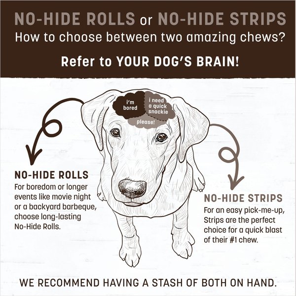 Show full view: Earth Animal No-Hide Strips Thin Natural Rawhide Alternative Beef Recipe Dog Treat, 4 count slide 4 of 13