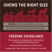 Show in main carousel: Earth Animal No-Hide Strips Thin Natural Rawhide Alternative Beef Recipe Dog Treat, 4 count slide 9 of 13