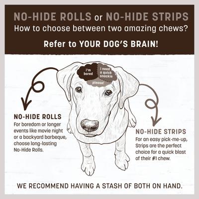 Show full view: Earth Animal No-Hide Strips Thin Natural Rawhide Alternative No Beef Vegetarian Recipe Chew Dog Treat, 1 count slide 4 of 13