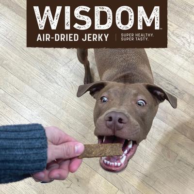 Show full view: Earth Animal Wisdom Air-Dried Turkey Recipe Premium Natural Jerky Strips Dog Treats, 4-oz bag slide 7 of 10