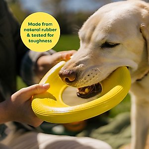 Earth Rated Flyer Dog Toy, Large