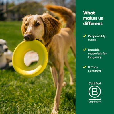 Show full view: Earth Rated Flyer Dog Toy, Large slide 8 of 11