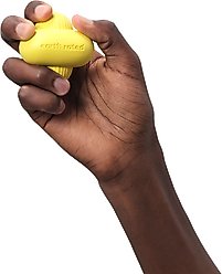 Earth Rated Rubber Fetch Chew Dog Toy, Medium slide 2 of 8