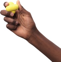 Earth Rated Rubber Fetch Chew Dog Toy, Small slide 2 of 8