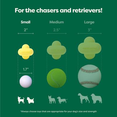 Show full view: Earth Rated Rubber Fetch Chew Dog Toy, Small slide 4 of 11