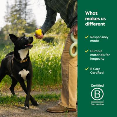 Show full view: Earth Rated Rubber Fetch Chew Dog Toy, Small slide 8 of 11