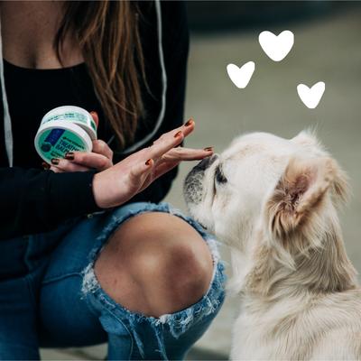 Show full view: Earthbath Cat & Dog Treatment Balm, 2.2-fl oz slide 5 of 6