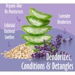 Show in main carousel: Earthbath Deodorizing Lavender Spritz for Dogs, 8-fl oz bottle slide 2 of 10