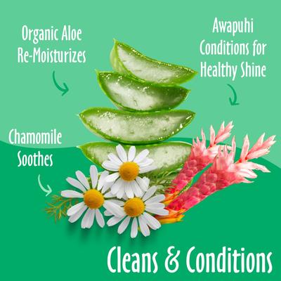 Show full view: Earthbath Green Tea & Awapuhi Cat & Dog Grooming Wipes, 100 count slide 2 of 8