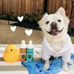 Show in main carousel: Earthbath Oatmeal & Aloe Dog & Cat Conditioner, Vanilla & Almond, 16-fl oz bottle slide 5 of 10