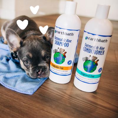 Show full view: Earthbath Oatmeal & Aloe Fragrance Free Dog & Cat Shampoo, 16-fl oz bottle slide 5 of 10