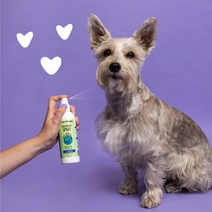 Earthbath Shea Butter Avocado & Calenula Cat & Dog Spray, 8-fl oz bottle