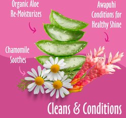 Earthbath Ultra-Mild Wild Cherry Scented Puppy Grooming Wipes, 100 count slide 2 of 8