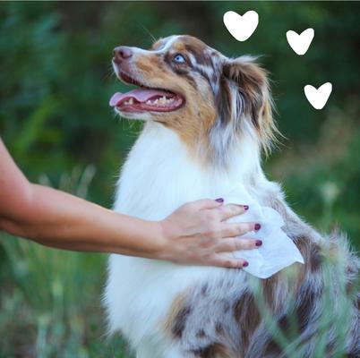 Show full view: Earthbath Ultra-Mild Wild Cherry Scented Puppy Grooming Wipes, 100 count slide 5 of 8