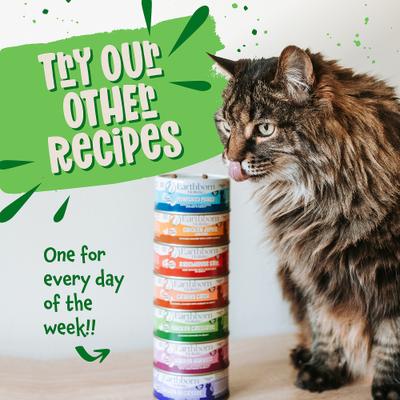 Show full view: Earthborn Holistic Chicken Catcciatori Grain-Free Natural Adult Canned Cat Food, 3-oz can, bundle of 48  slide 7 of 9