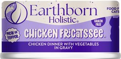 Earthborn Holistic Chicken Fricatssee Grain-Free Natural Adult Canned Cat Food, 5.5-oz, case of 24