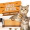 Show in main carousel: Earthborn Holistic Chicken Jumble with Liver Grain-Free Natural Canned Cat & Kitten Food, 5.5-oz, case of 24 slide 3 of 10