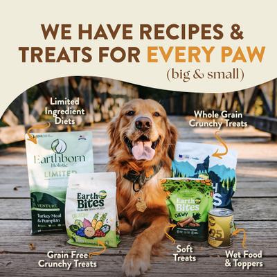 Show full view: Earthborn Holistic Great Plains Feast Bison Meal & Vegetables Grain-Free Dry Dog Food, 4-lb bag slide 7 of 10