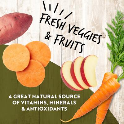 Show full view: Earthborn Holistic K95 Chicken Recipe Grain-Free Canned Dog Food, 13-oz, case of 12 slide 7 of 10