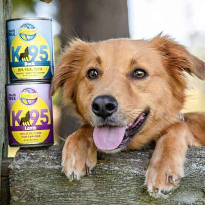 Show full view: Earthborn Holistic K95 Lamb Recipe Grain-Free Canned Dog Food, 13-oz, case of 12 slide 9 of 10