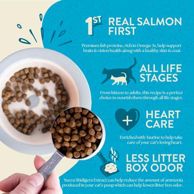 Show full view: Earthborn Holistic Wild Sea Catch Salmon & Vegetables Grain-Free Dry Cat Food, 12.5-lb slide 5 of 10
