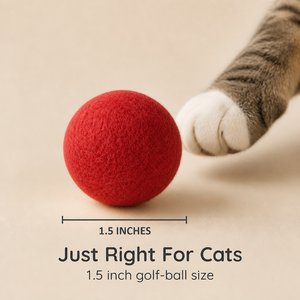 Earthtone Solutions Felted Wool Cat Ball Toy, 6 count