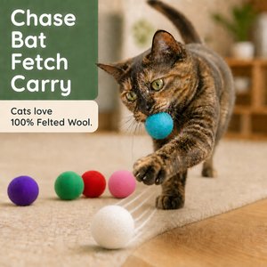 Earthtone Solutions Felted Wool Cat Ball Toy, 6 count