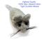 Show in main carousel: Earthtone Solutions Felted Wool Cat Mouse Toys, 3-pack, Grey slide 2 of 6