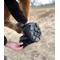 Show in main carousel: EasyCare 2016 Easyboot Trail Horse Hoof Boot, 0 slide 6 of 10