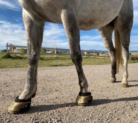 Show full view: EasyCare 2016 Easyboot Trail Horse Hoof Boot, 10 slide 7 of 10