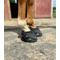 Show in main carousel: EasyCare Easyboot Back Country Horse Hoof Boot, 3W slide 7 of 9