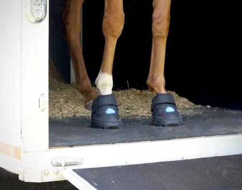 Show full view: EasyCare Easyboot Cloud Horse Hoof Boot, 4 slide 6 of 10